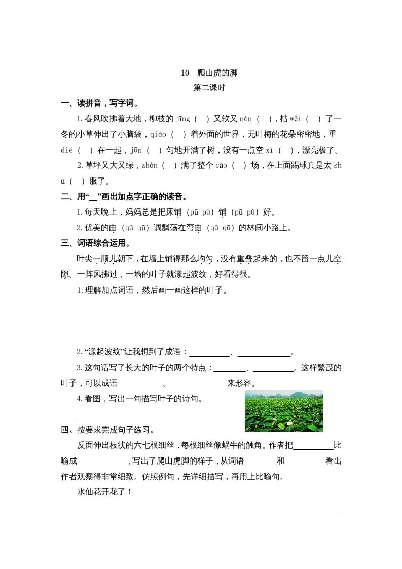 图片[3]-四年级语文上册10爬山虎的脚-米大兔试卷网