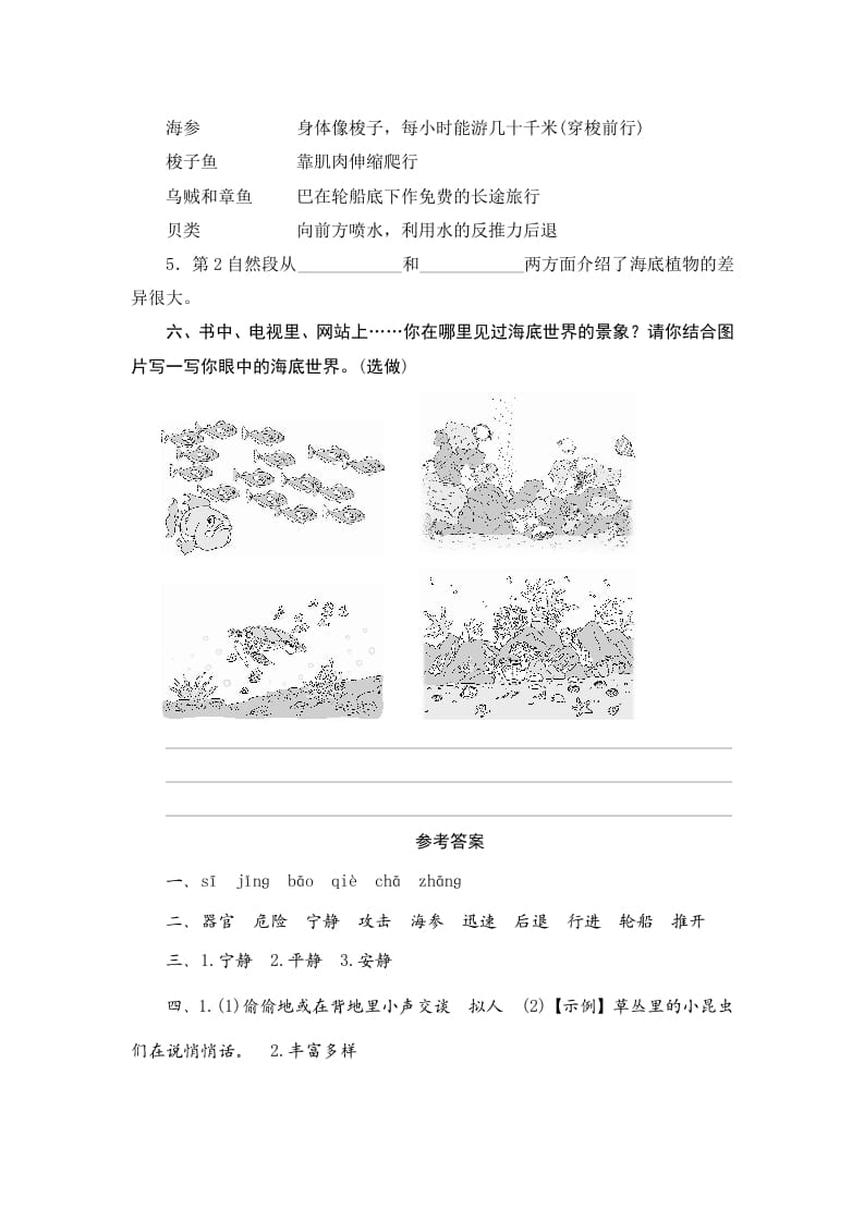 图片[3]-三年级语文下册23海底世界-米大兔试卷网