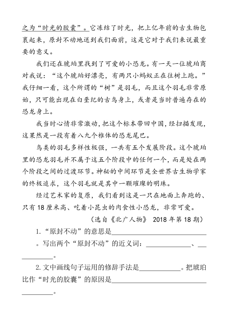 图片[3]-四年级语文下册类文阅读-5琥珀-米大兔试卷网