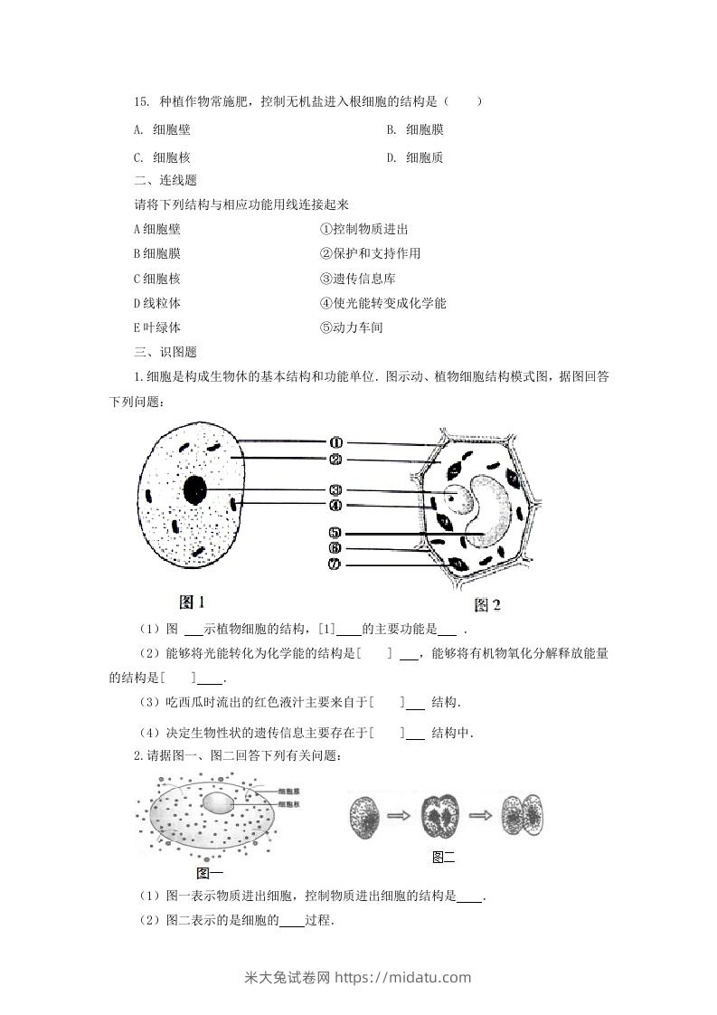 图片[3]-七年级上册生物第二单元第一章第四节试卷及答案(Word版)-米大兔试卷网