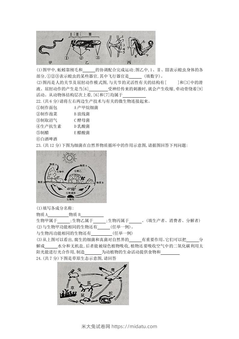 图片[3]-2020-2021学年河南省新乡市卫辉市八年级上学期期中生物试题及答案(Word版)-米大兔试卷网