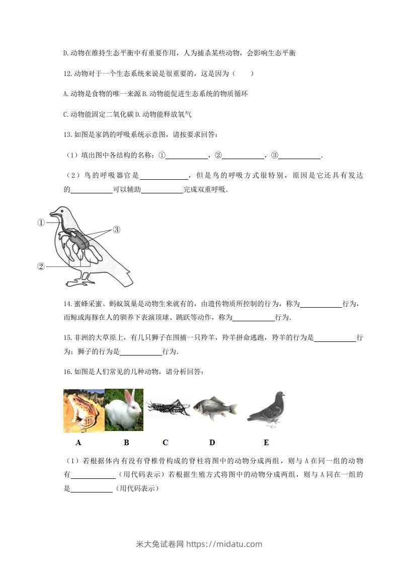 图片[3]-2020-2021学年湖北省黄冈市红安县八年级上学期期中生物试题及答案(Word版)-米大兔试卷网