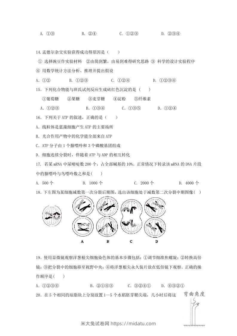 图片[3]-2010年上海高三部分重点中学二次联考生物真题及答案(Word版)-米大兔试卷网